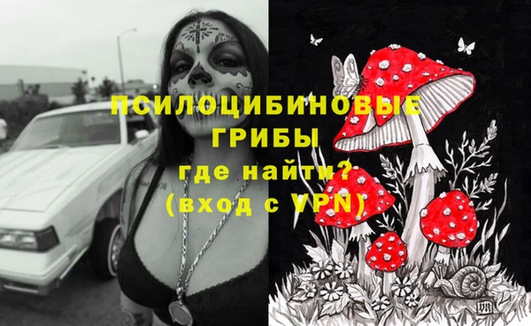 дживик Михайловка