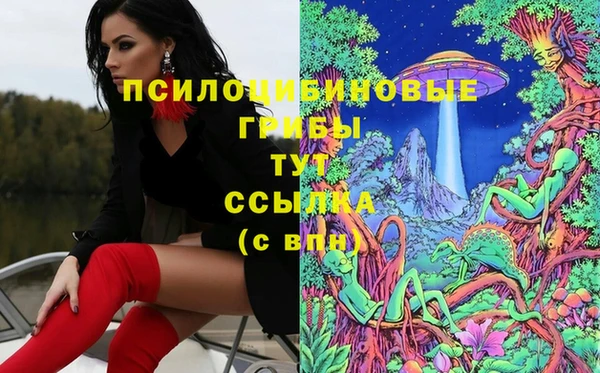 дживик Михайловка