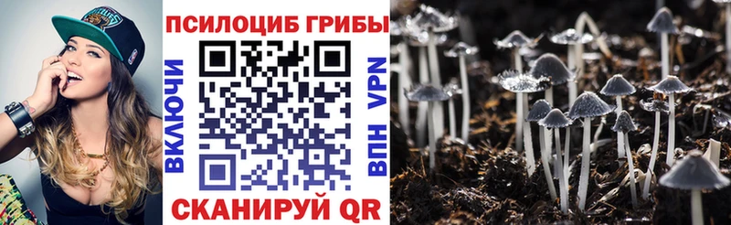 Галлюциногенные грибы Magic Shrooms  Купить  Алексеевка 